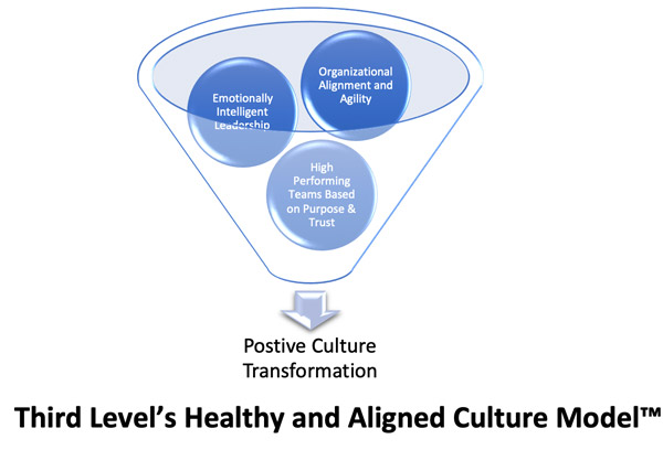 aligned-culture-model